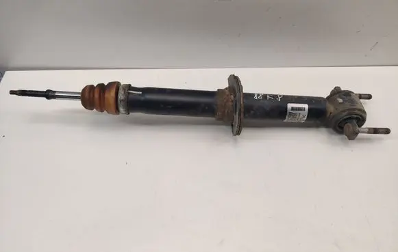 Ford F150 Front shock absorber/damper FL3418045