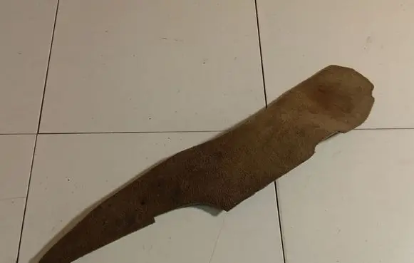 Jaguar X-Type Other interior part 1X43F131K19ACW
