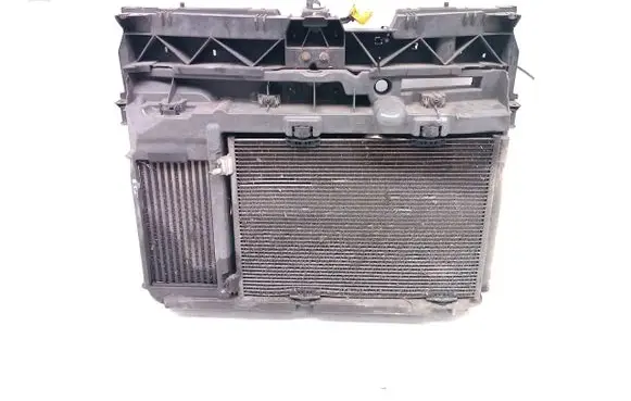 Citroen Xsara Picasso Radiator support slam panel