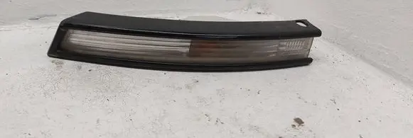 Volkswagen PASSAT B6 Front indicator light 3C0953041H