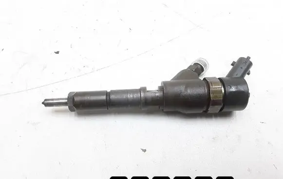 Citroen C5 Fuel injector 0445110062