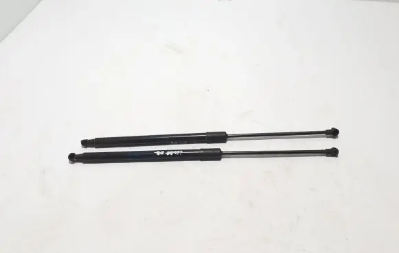 Renault Scenic IV - Grand scenic IV Tailgate strut 
