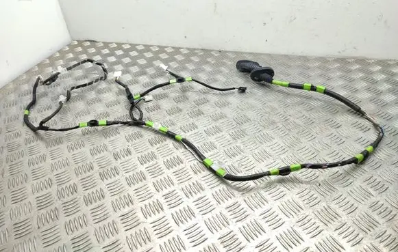 Lexus RX 450H Rear door wiring loom 8215348280