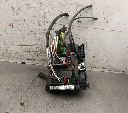 Citroen Xsara Picasso Fuse module 9650618480 557621950