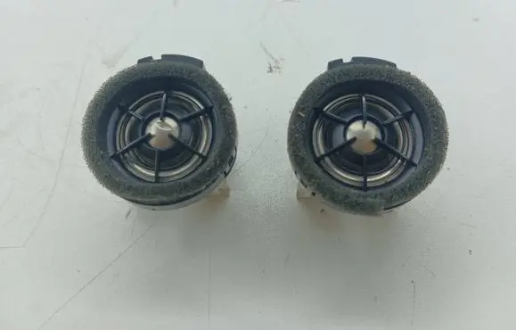 Front door high frequency speaker
