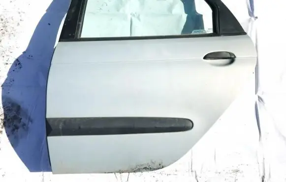Renault Scenic I Rear door zydra