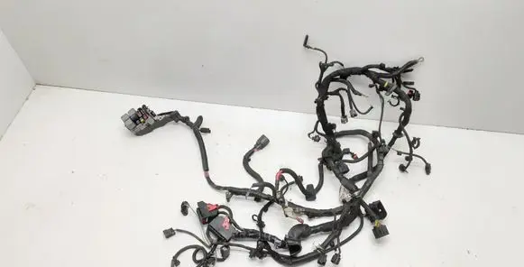 Engine installation wiring loom