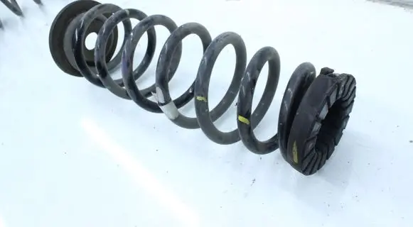 Rear coil spring
