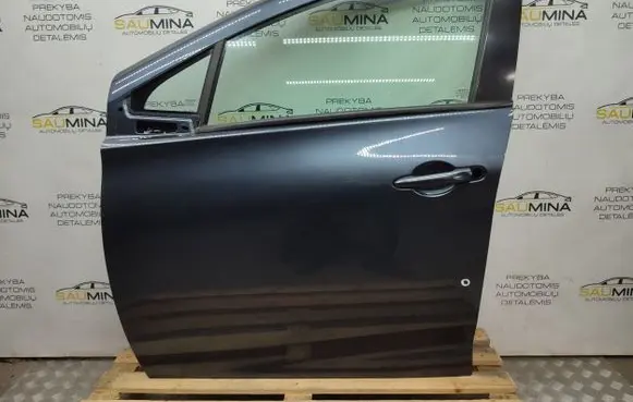 Renault Zoe Front door