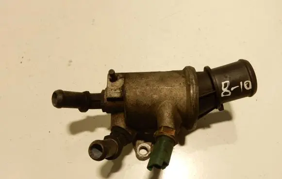 Thermostat/thermostat housing