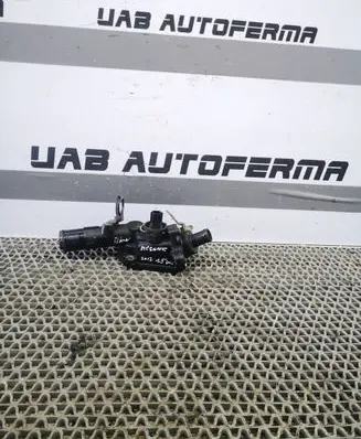 Thermostat/thermostat housing