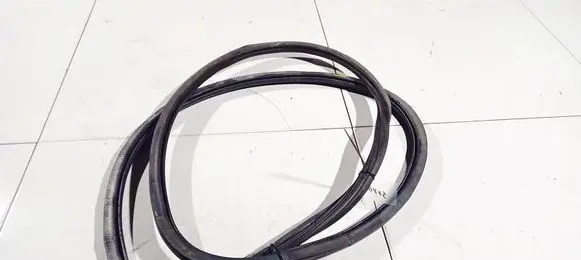 Audi A4 S4 B8 8K Rubber seal front coupe door 