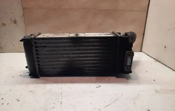 Peugeot 307 Intercooler radiator 9648551880 876923JF TA1401