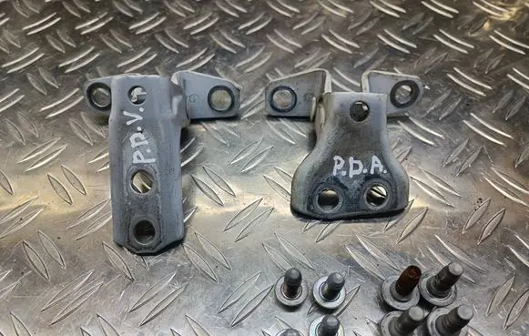 Citroen C-Zero Front door hinge set 