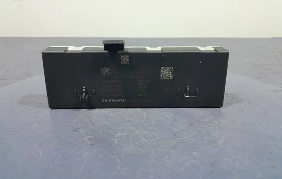 BMW X5 E53 Other control units/modules 5A19DB4