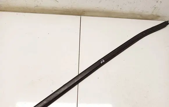 Hyundai Tucson IV NX4 Front door glass trim molding 