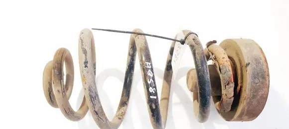 Rear coil spring