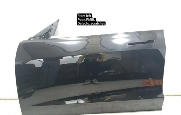 Tesla Model 3 Front door 