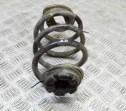 Nissan Leaf II (ZE1) Rear coil spring 550205SJ0A