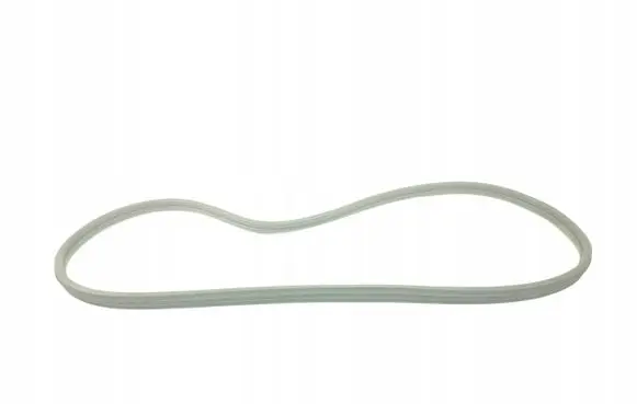 Alfa Romeo 156 Rubber seal rear door 60671754
