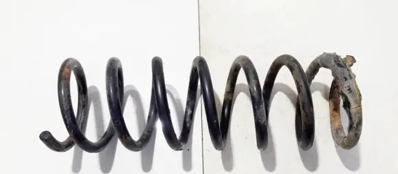 Ford Focus C-MAX Rear coil spring