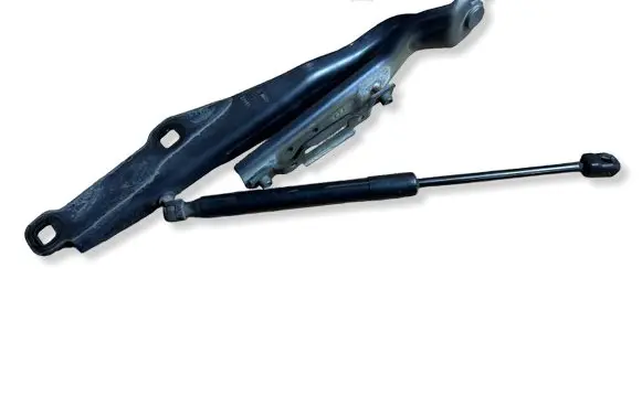 Dodge Charger Engine bonnet/hood hinges P1491