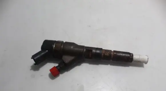 Citroen Xsara Picasso Fuel injector 0445110076