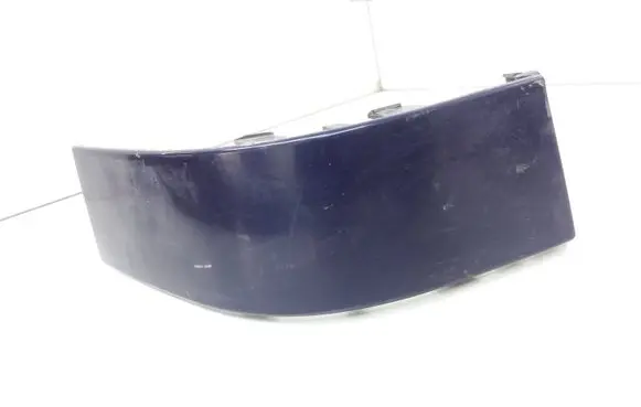 Rear/tail light trim molding