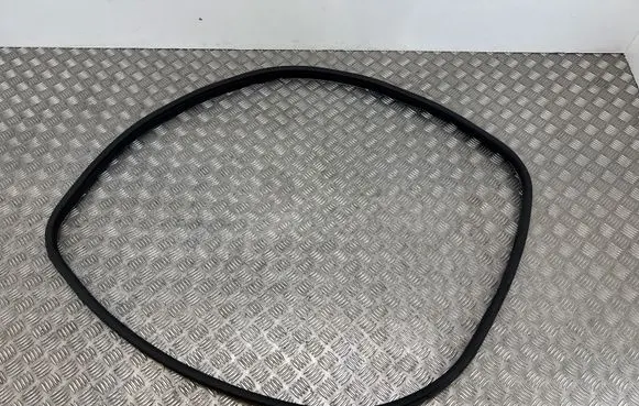 Ford Ecosport Front door rubber seal 