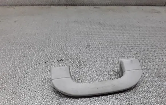 Mercedes-Benz B W245 Front interior roof grab handle A1698100151