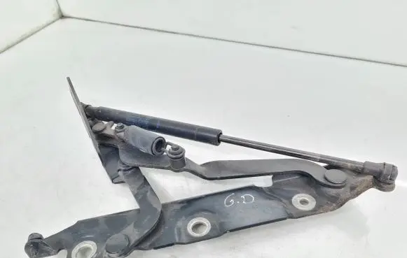Jaguar XF X250 Tailgate/trunk/boot hinge 8X23406A42AC