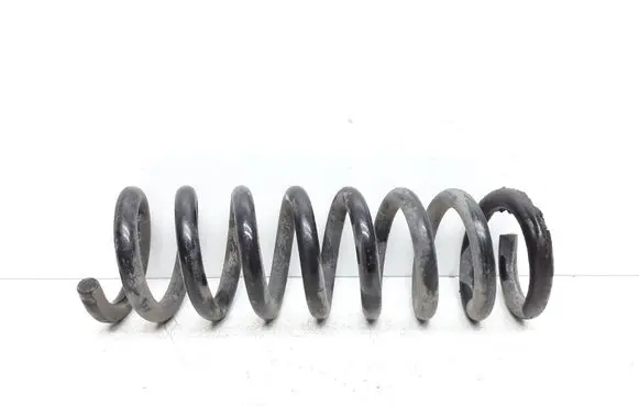 Rear coil spring