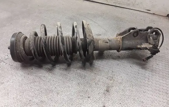 Opel Insignia A Front shock absorber with coil spring