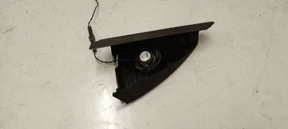 Front door high frequency speaker