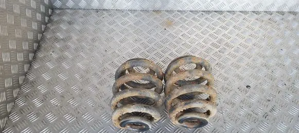 Rear coil spring