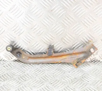 Chevrolet Trans Sport Rear door lower hinge