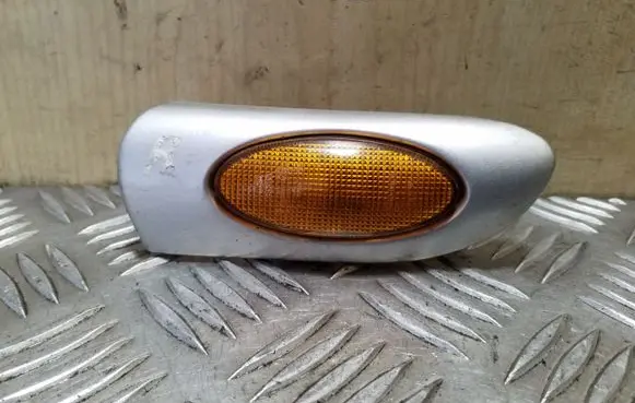 Front fender indicator light