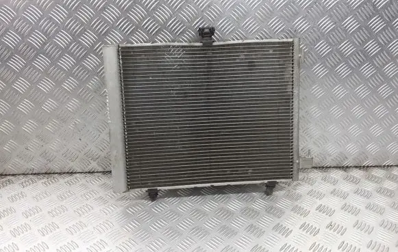 Citroen C2 Air conditioning (A/C) radiator (interior) 