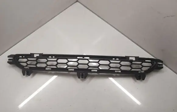 BMW X3 F25 Front bumper lower grill 8048096