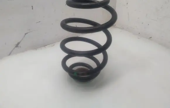 Volkswagen PASSAT B5 Rear coil spring