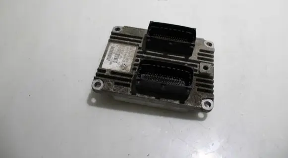 Engine control unit/module ECU
