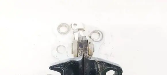 Tesla Model 3 Rear door lower hinge RLR330F