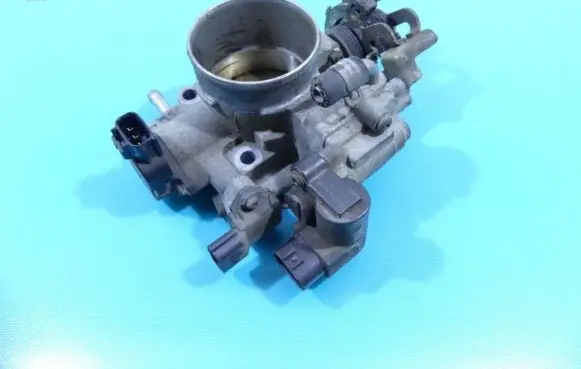 Throttle body valve