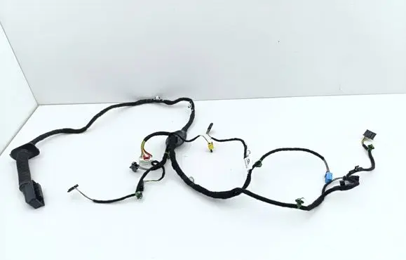 Front door wiring loom