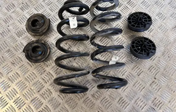 Rear coil spring