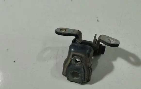 Skoda Roomster (5J) Rear door lower hinge 