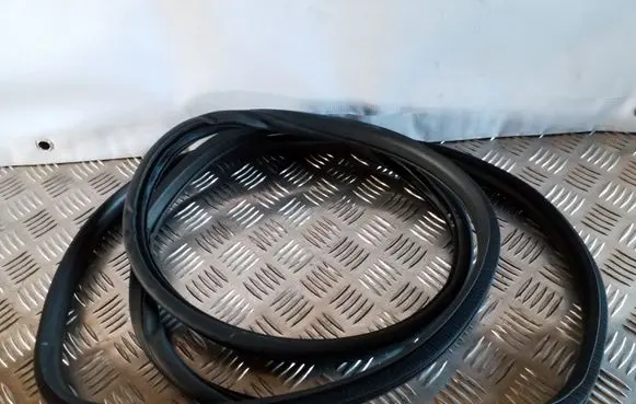 Nissan Juke I F15 Front door rubber seal