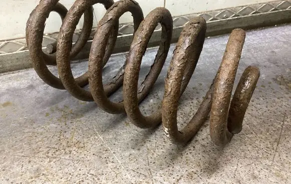 Rear coil spring