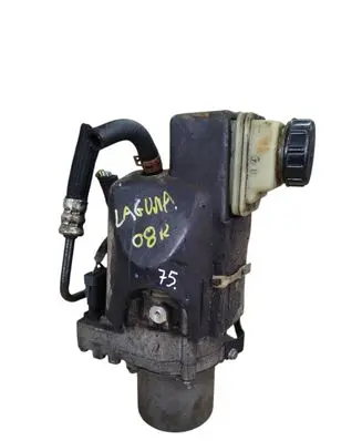 Renault Laguna III Power steering pump 491100023R-B