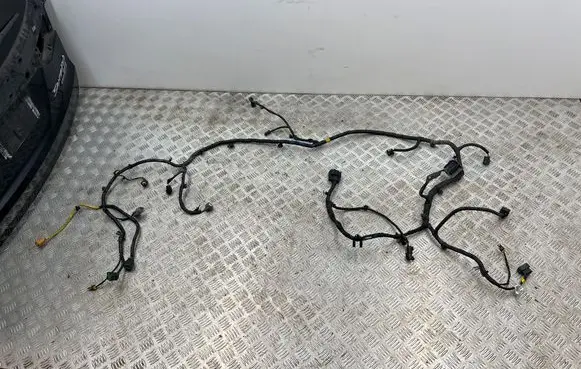Other wiring loom